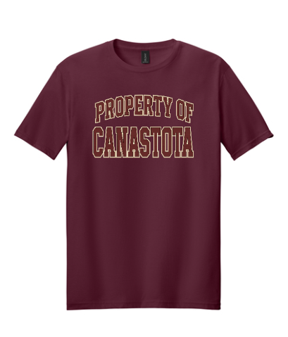 Gilden T-Shirts - Property of Canastota (Copy)