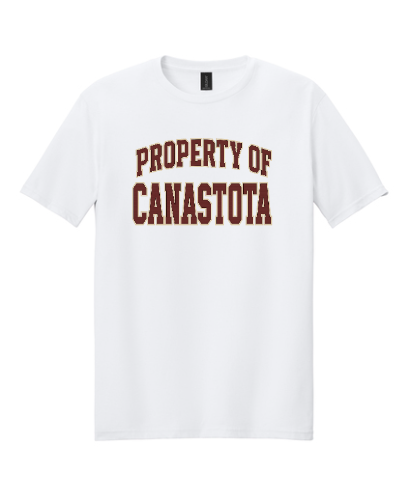 Gilden T-Shirts - Property of Canastota (Copy)