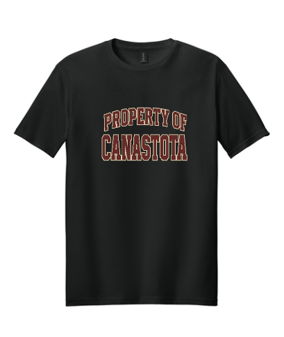 Gilden T-Shirts - Property of Canastota (Copy)